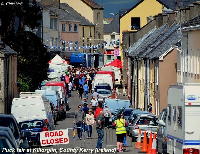 Puck Fair, Killorglin, Co. Kerry, Irland